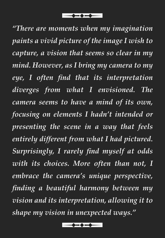 The Magic of Photography