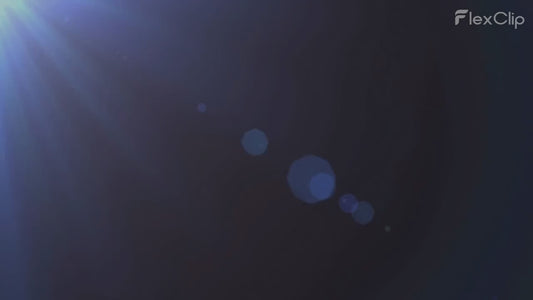 Houdini: The Ultimate Trivia Compendium